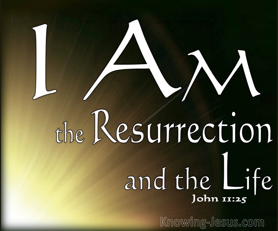 John 11:25 The Resurrection and the Life (brown)
